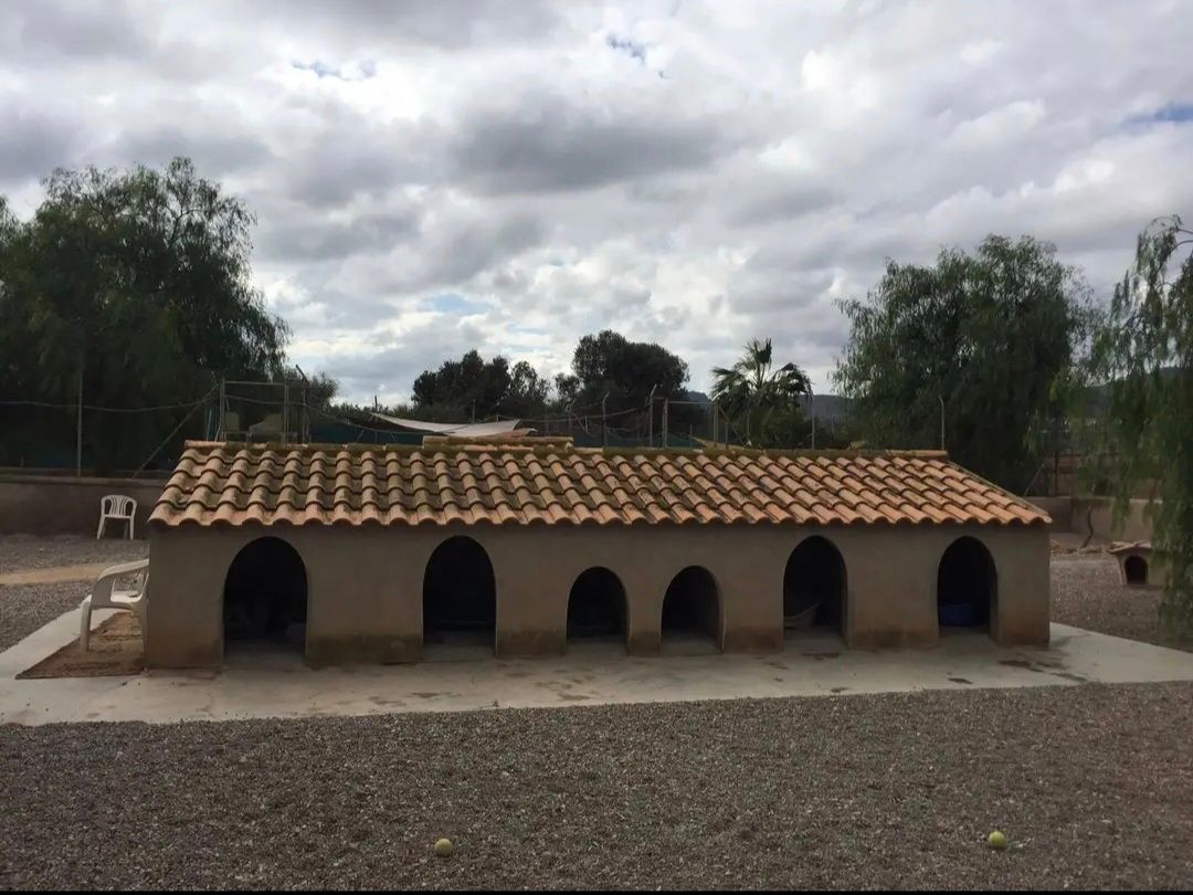 Refugio 2