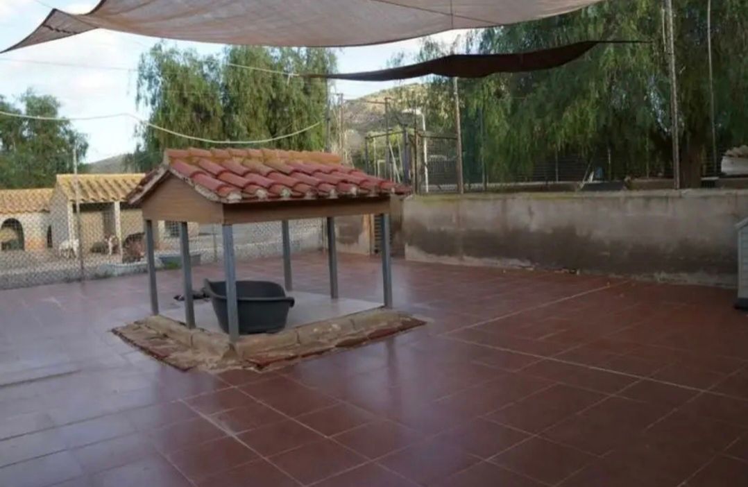 Refugio 3