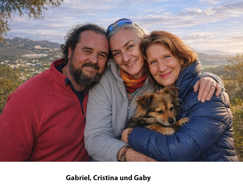 Bild C