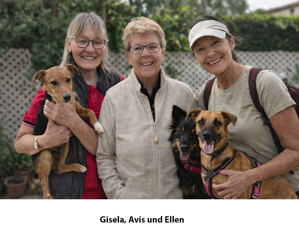 Bild H